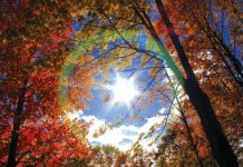 Miholjsko Ljeto Jesen Sunce