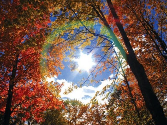 Miholjsko Ljeto Jesen Sunce