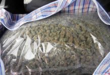 Marihuana Zlatibor