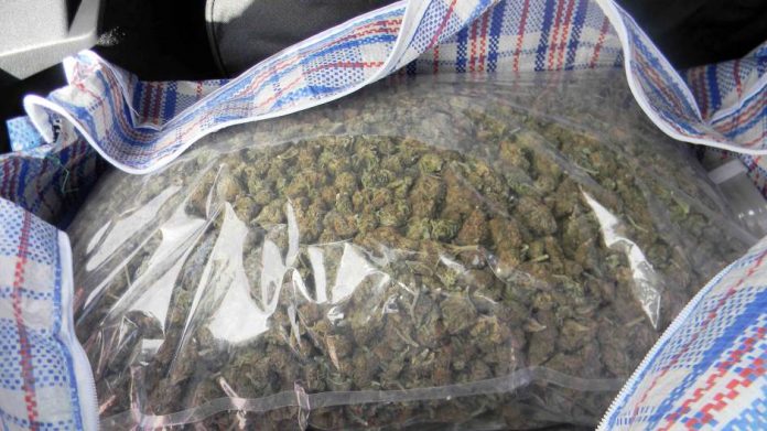 Marihuana Zlatibor