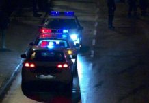 Policija Federacija 2