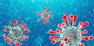 Coronavirus2 660 140320112031