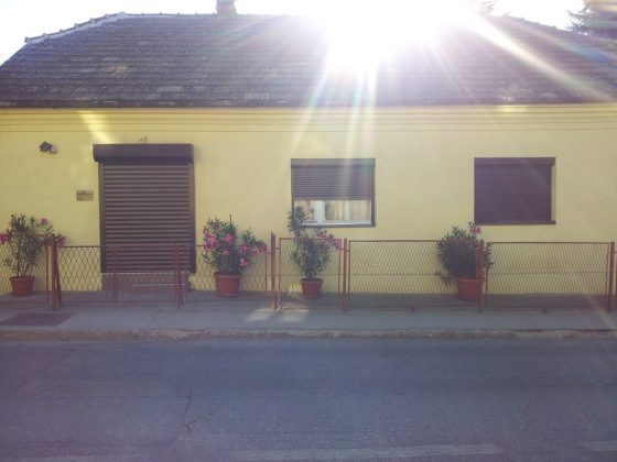 03 Slika Kuce