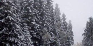 Romanija Snijeg 480x610
